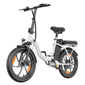 WITAMBIKE C16 Electric Bike 250W Motor 48V 16Ah 20"x 3.0" Fat Tyres E-BIKE (Color: White)